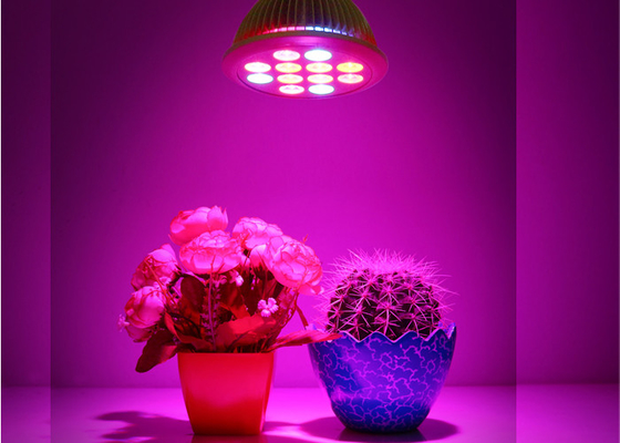 Aluminum Shell 12w Indoor Grow Lights 3w 45mil Red Blue Cree Bridgelux Epistar LED