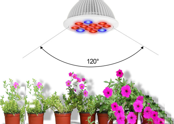 Aluminum Shell 12w Indoor Grow Lights 3w 45mil Red Blue Cree Bridgelux Epistar LED