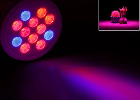 Aluminum Shell 12w Indoor Grow Lights 3w 45mil Red Blue Cree Bridgelux Epistar LED