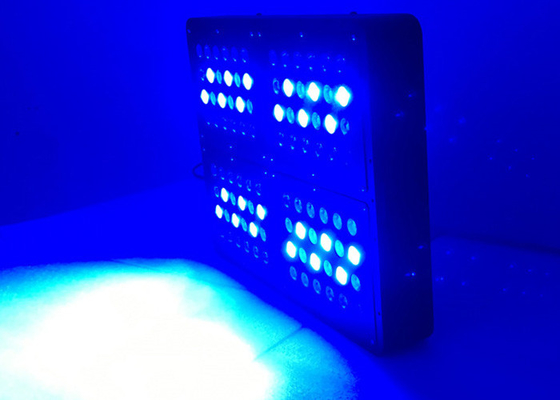 Remote Control 480w Dimmable LED Grow Lights Double 5w Chip For Indoor Plants Hydroponic