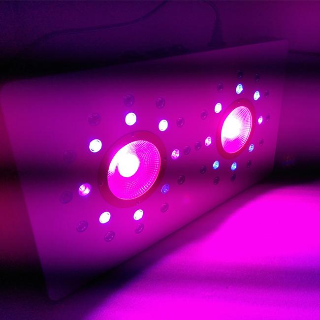 8leds 3w لكل مجموعة