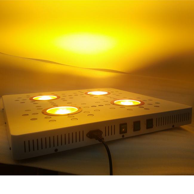 COB LED تنمو ضوء