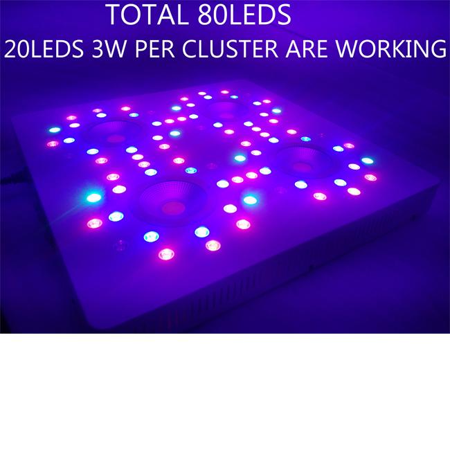 20leds 3w لكل مجموعة