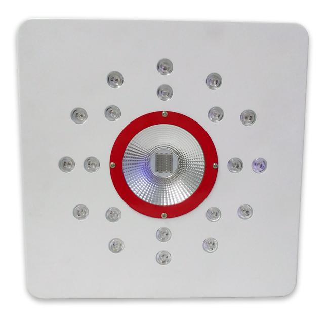 cob led تنمو الاضواء