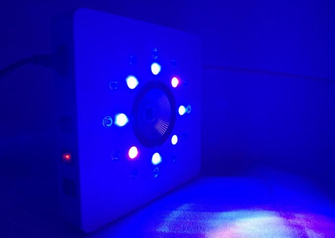 8leds 3W لكل مجموعة تعمل