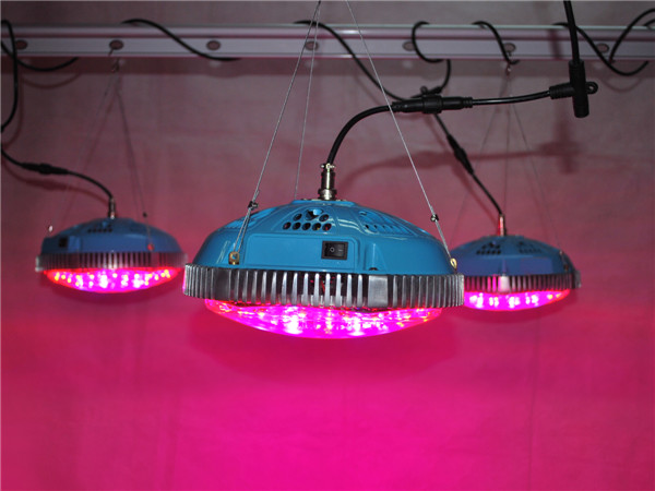 ufo أدى النمو ضوء
